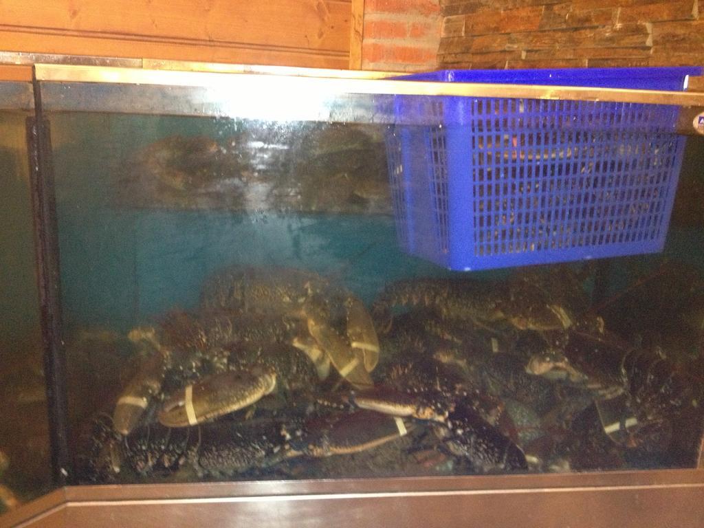 Hosteria San Emeterio Isla Plana Zewnętrze zdjęcie