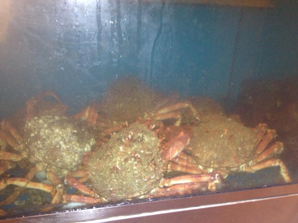 Hosteria San Emeterio Isla Plana Zewnętrze zdjęcie